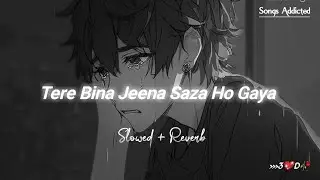Tere Bina Jeena Saza Ho Gaya [Slowed+Reverb] Tej Gill | Rooh | Tere Bina Jeena | Songs Addicted