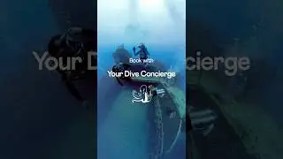 Book with Your Dive Concierge: Personalized Instruction in the Florida Keys