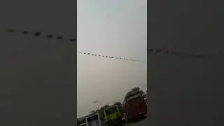 Bus Adda Moga/Punjab