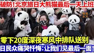 破防！北京旅日大熊猫最后一天上班零下20度深夜寒风中排队送别日本民众痛哭忏悔：让我们见它最后一面！#璀璨东方 #科普 #大熊猫 #日本 #动物园