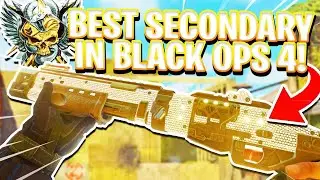 THIS is now the BEST Secondary in BO4...