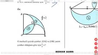 Dairede Alan 6 (KENAN KARA)