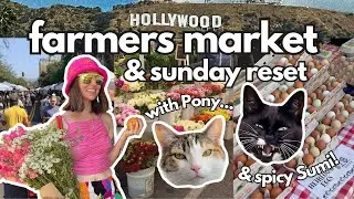 A Cozy Sunday in LA 🌴 Hollywood Farmers Market, Juicing, Cleaning & Cat Life