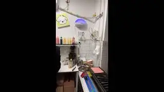 甜妹烤肠