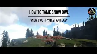 How to tame Snow Owl (Easy & Fastest Way) - NEWBIE GUIDE