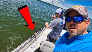 How To Catch TONS Of White Bass EASY (Early Summer)