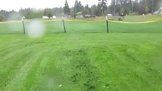 Swallows Dive Bomb Mower