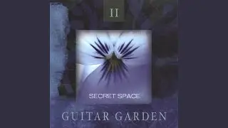 Secret Space (Blues for R.S.)