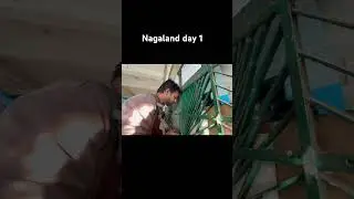 Nagaland day 1. #dimapur #northeast #northeastindia #travel #cricket #foryou #youtubeshorts