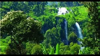 #WorldForestryDay_2020 | Mini forest challenge | its my hobby | UPSC/IAS | Only Real IAS Officer