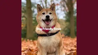 Feelings - Puppy Rest