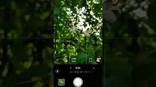 creative photography tips  withe phone using pro mood. wait for result. #aziz_click #photographyho