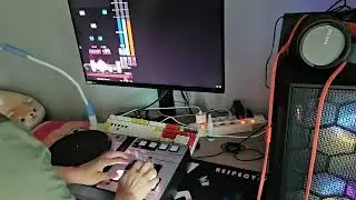 PHOENIXWAN+ LMT test