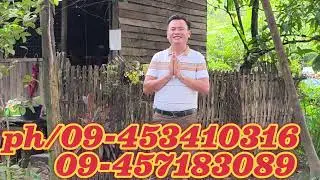 လှည်းကူးမြို့ပေါ်  အဆောင်အရောင်း ၈၅၀ သိန်း ညှိနှိုင်း