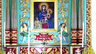 11 JANUARY 2026 - 11.30AM || LIVE HOLY MASS  ||  VALLARPADAM SHRINE BASILICA