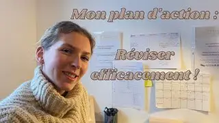 Mon plan de révision pour les partiels à la fac - Conseils et Organisation