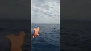 Topside with Kyle. Skippers view with some general information.
