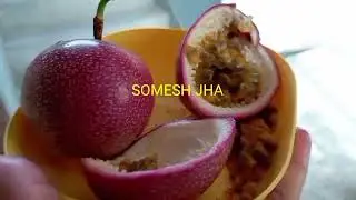passion fruit पैशन फ्रूट passion flowers राखी बेल फूल rakhi vel flower पैशन फ्लावर passion vines