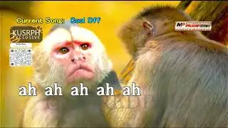 Cool Off - Yeng Constantino || Megapro plus midi karaoke