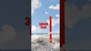 The Bomber Who Got Sucked Out Of A Plane😯#shorts