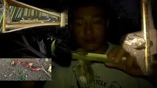 bird trap easy | catch bird | my daily VloG part- 14 @atinaga5082