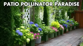 Transform Your Patio This Summer! 🌼 Stunning Container Garden Ideas for Small Spaces