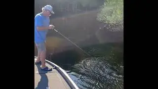 Hal Abshire Fishing: Official Launch 2025