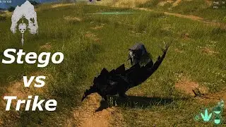 Sub Trike picks a fight with an adult Stego - The Isle Evrima