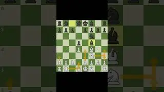 Aprenda 5 dicas de xadrez para iniciantes! #chess  #xadrezpaulista #xadrez