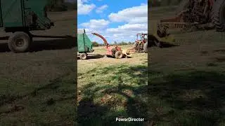 Day 2 of Chopping and Packing Sorghum (Sudan Grass)