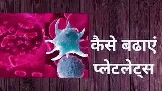 डेंगू में प्लेटलेट्स कैसे बढ़ाएं? (How To Increase Platelets) - Hindi Health Tips