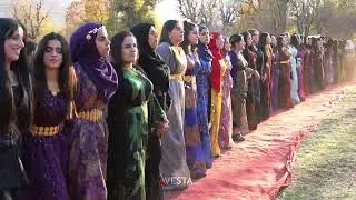 Kaya ailesi | Derecik d&uuml;ğ&uuml;nleri 