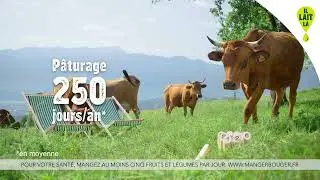 IL LAIT LÀ, LE BIEN-ÊTRE ANIMAL !