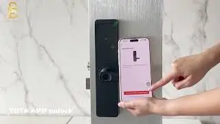 All-in-One Smart Lock: Fingerprint, Code, App, Key & Card ES468F