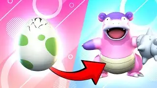 Breeding Competitive Pokemon, BBQ's & Raids w/ YOU! !member !discord !tip