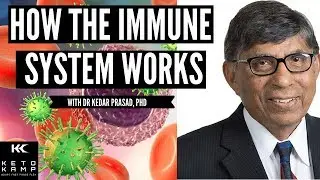 Dr Prasad How The Immune System Works, Micronutrients For Boosting Immune Health