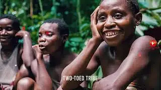 Zimbabwe national motto (Unity, Freedom, Work). must watch ⌚ in Hindi  : Kubatana, Rusununguko