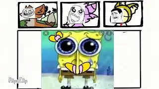 zoom............... exe