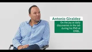Antonio Giraldez on joyful discovery during his PhD at EMBL.
