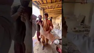 Massive Kadi Kabab, Whole Ground Roasted Lamb in Quetta، Pakistan#shortsvideo #lamb #foodie