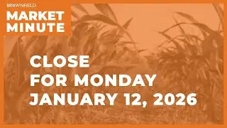 Cattle closed higher Monday | Closing Market Minute