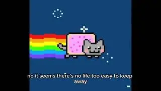 Nyan cat song but actual lyrics