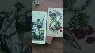 The Chariot Tarot Card #shorts