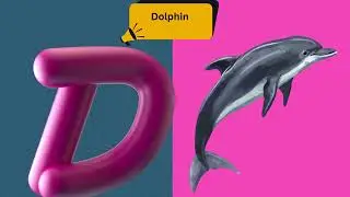 🎶 ABC Rhyming Song for Kids | A to Z Sea Animals (Angel Fish, Blue Whale, Crab, Dolphin) 🌊🐠