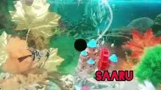 Saru Expose Anika in Police Look | Family Shocked | Big Twist in Saru Serial