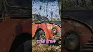 #temza #sergeytemza #казино #заносынедели