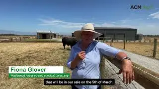 East Gippsland studs open their doors for Stock & Land Beef Week