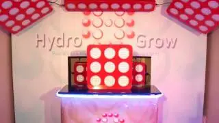 NEW Omni Spectrum LED Grow Light from Hydro Grow.mp4