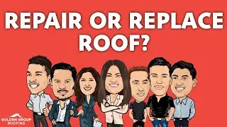 Fixing a Leak vs. Replacing the Entire Roof
