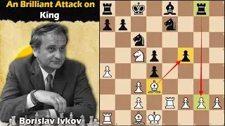 Brilliant Attack on King | Ivkov vs Portisch 1961